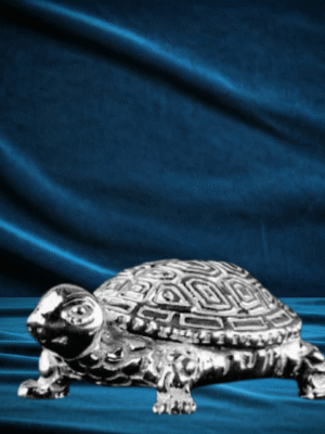 Vastu Tortoise