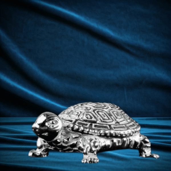 Vastu Tortoise