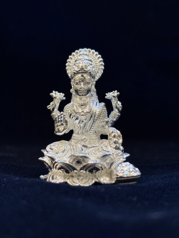 IMG_5285 धनलक्ष्मी(Dhanlaxmi)