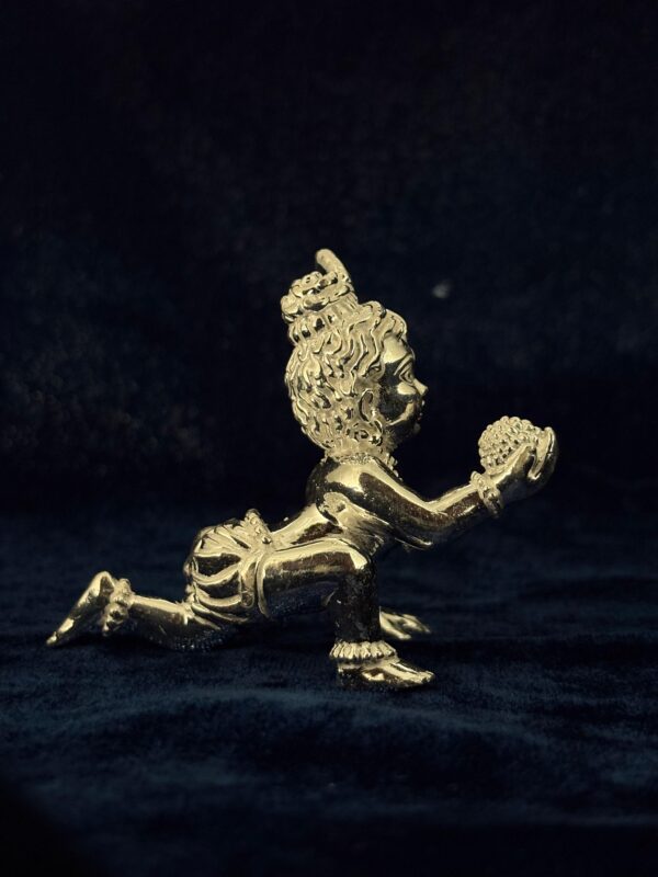 baalkrishna2 बाळ कृष्णा (Bal Krishna)
